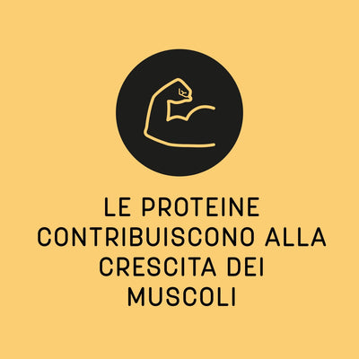 100% Albumina da Albume d'Uovo - Biscotto e crema