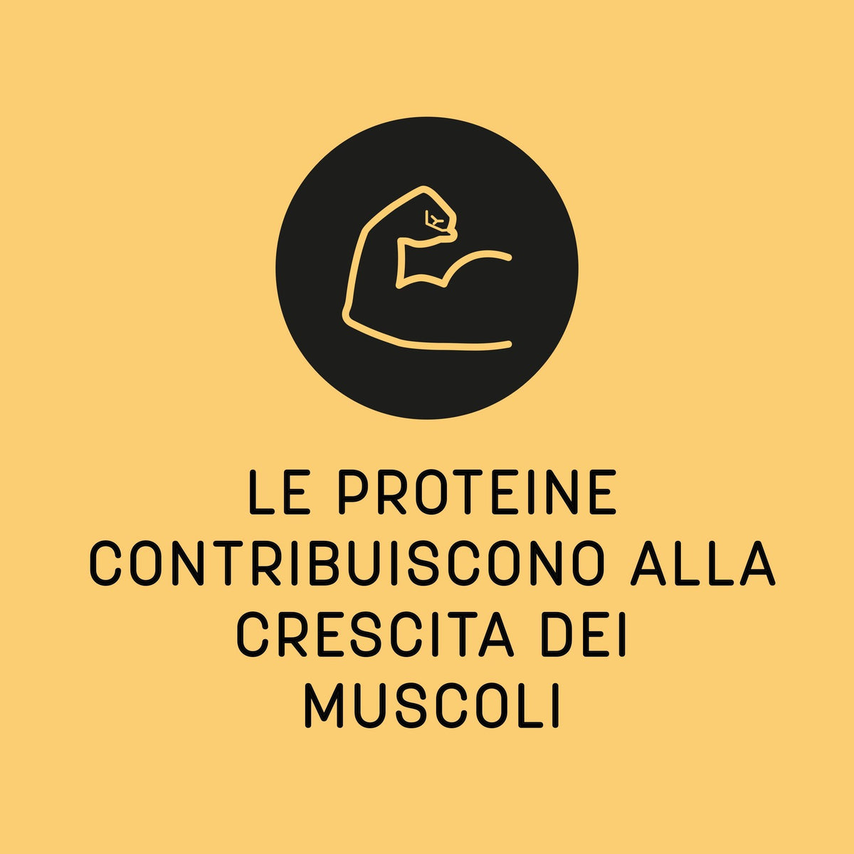 100% Albumina da Albume d'Uovo - Neutro