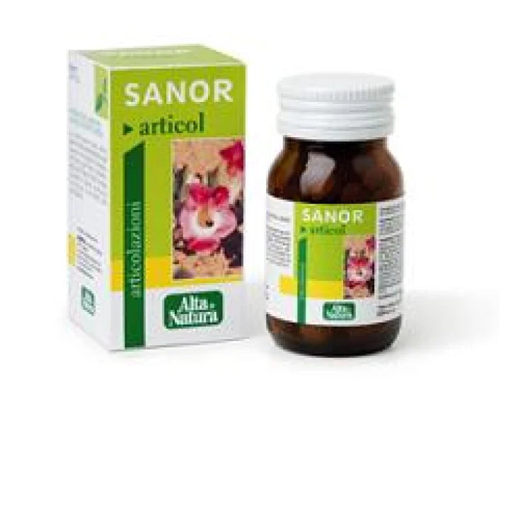 SANOR ARTICOL