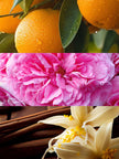 Claudia  Eau de Parfum