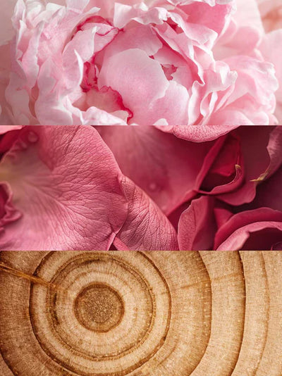 Coquette Eau de Parfum