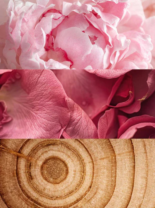 Coquette Eau de Parfum
