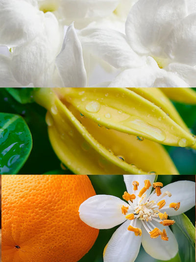 Dana Eau de Parfum