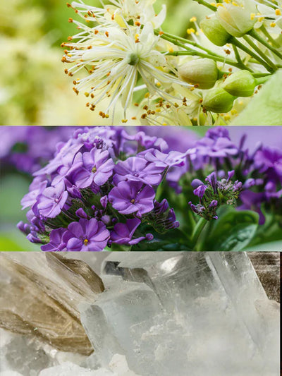 Khaddy Eau de Parfum