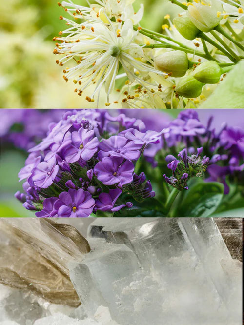 Khaddy Eau de Parfum