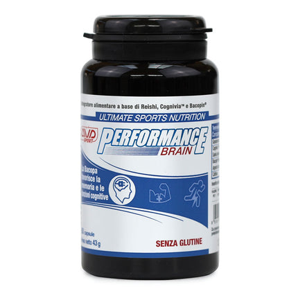 PERFORMANCE BRAIN