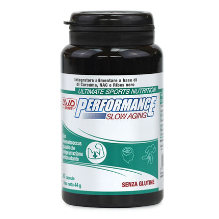 PERFORMANCE SLOW AGING