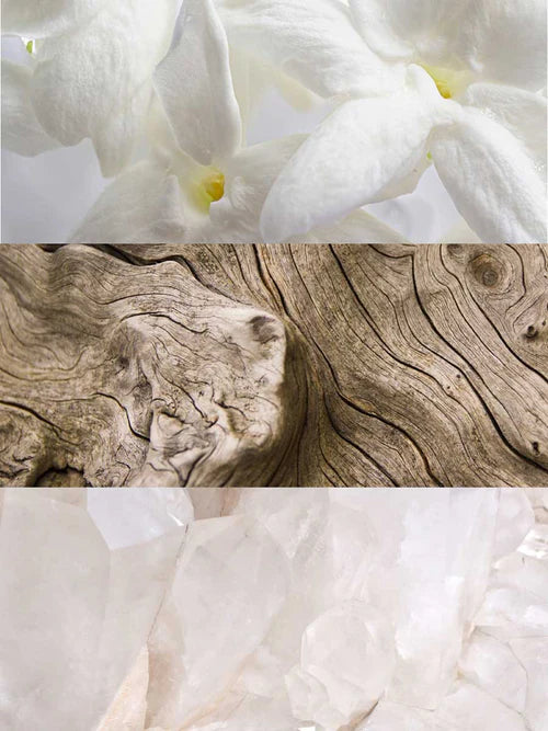 Radiance Eau de Parfum