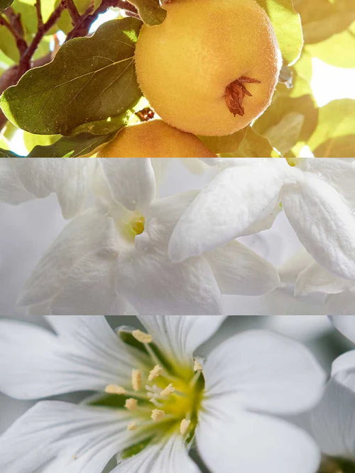 Soft and Young - Eau de Parfum