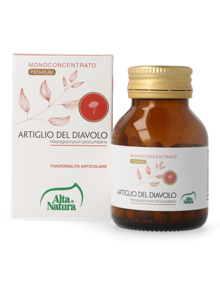 ARTIGLIO