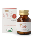 BARDANA