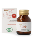 BOSWELLIA