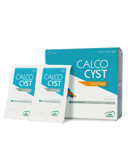 CALCOCYST BUSTINE