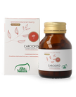CARCIOFO