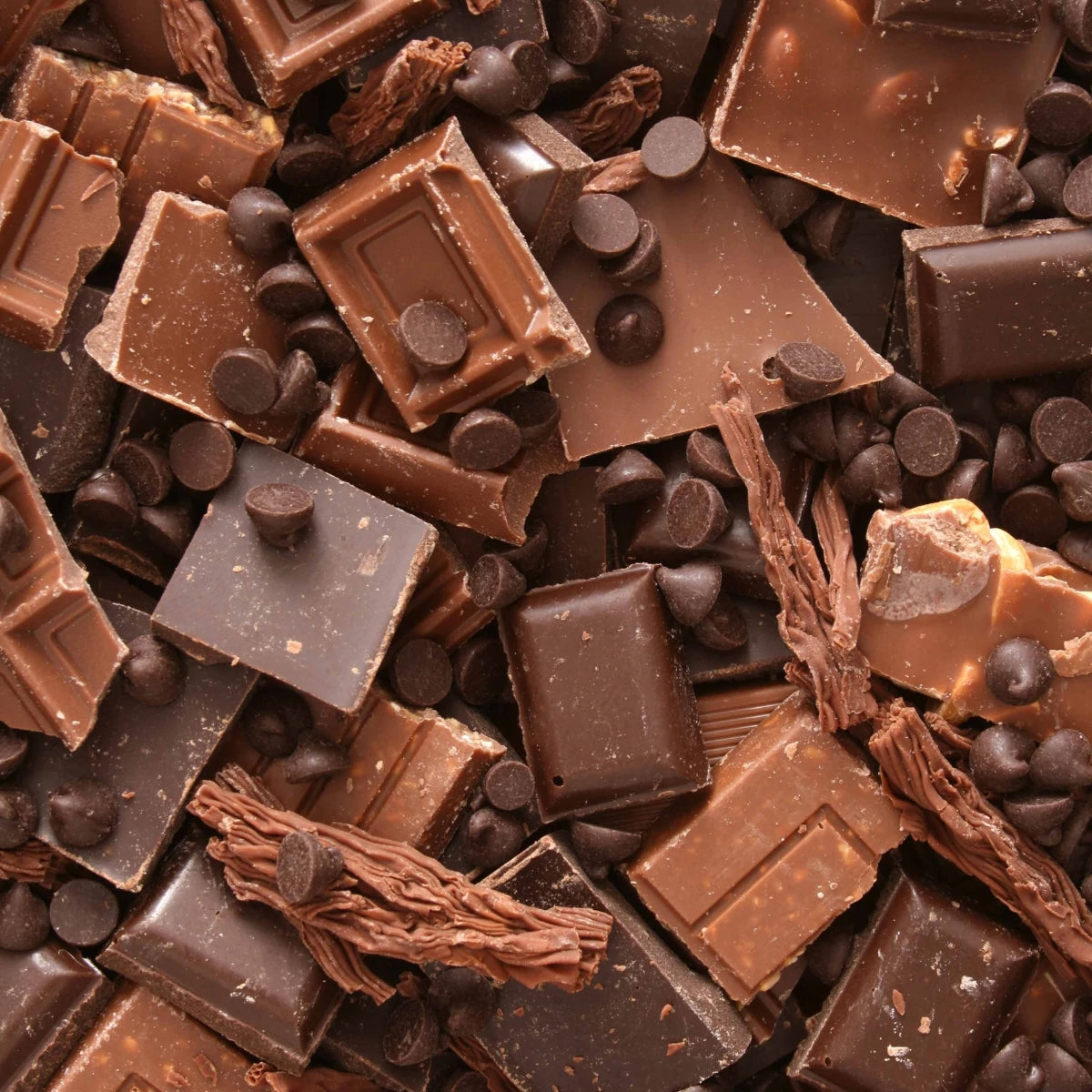 100% Whey Prime + Creatine - Cioccolato
