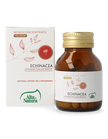 ECHINACEA