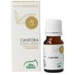 CANFORA