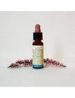 N° 25 - Di Leo Fiori di Bach Red Chestnut 10ml