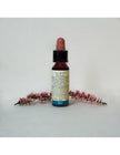 N° 11 - Di Leo Fiori di Bach Elm 10ml