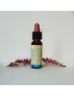 N° 13 - Di Leo Fiori di Bach Gorse 10ml