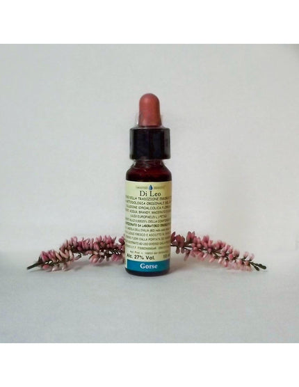 N° 13 - Di Leo Fiori di Bach Gorse 10ml