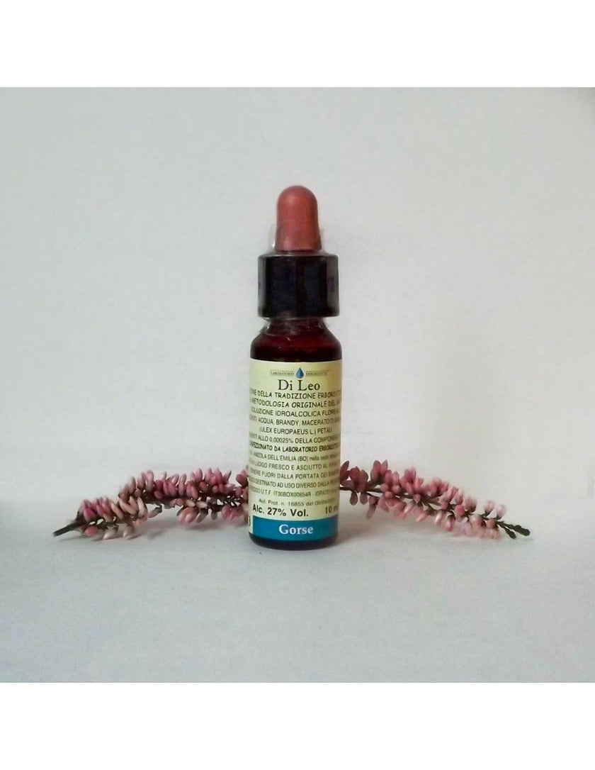 N° 13 - Di Leo Fiori di Bach Gorse 10ml