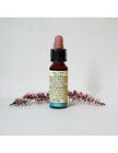 N° 15 - Di Leo Fiori di Bach Holly 10ml