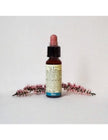 N° 24 - Di Leo Fiori di Bach Pine 10ml