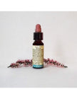 N° 29 - Di Leo Fiori di Bach Star Of Bethlehem 10ml