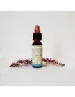 N° 30 - Di Leo Fiori di Bach Sweet Chestnut 10ml