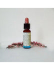 N°37 - Di Leo - Fiori di Bach - Wild Rose 10ml