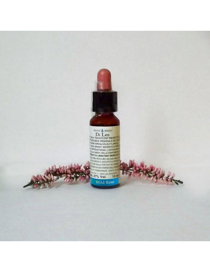 N°37 - Di Leo - Fiori di Bach - Wild Rose 10ml