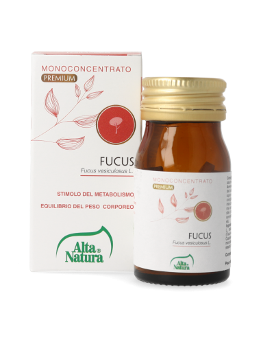 FUCUS