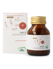 MACA
