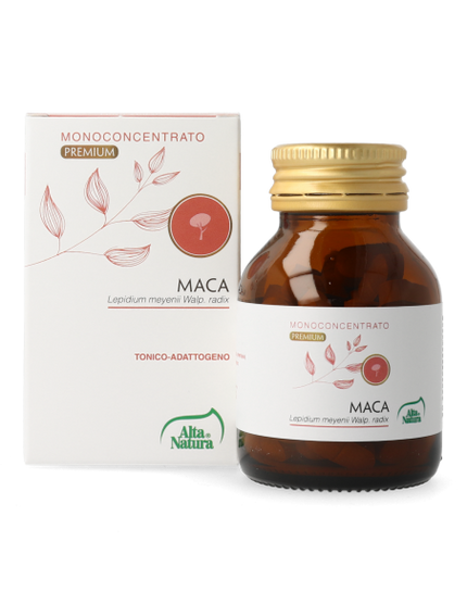 MACA