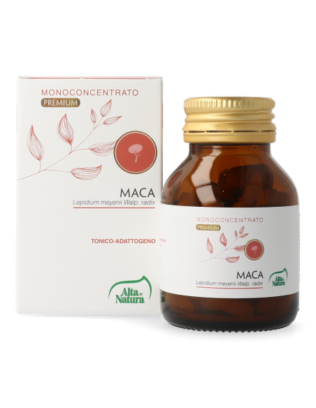MACA