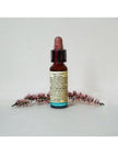 N°35 - Di Leo - Fiori di Bach - White Chestnut 10ml