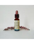 N°36 - Di Leo - Fiori di Bach - Wild Oat  10ml