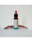 N°38 - Di Leo Fiori di Bach - Willow 10ml