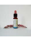 N°7 - Di Leo Fiori di Bach - Chestnut Bud 10ml