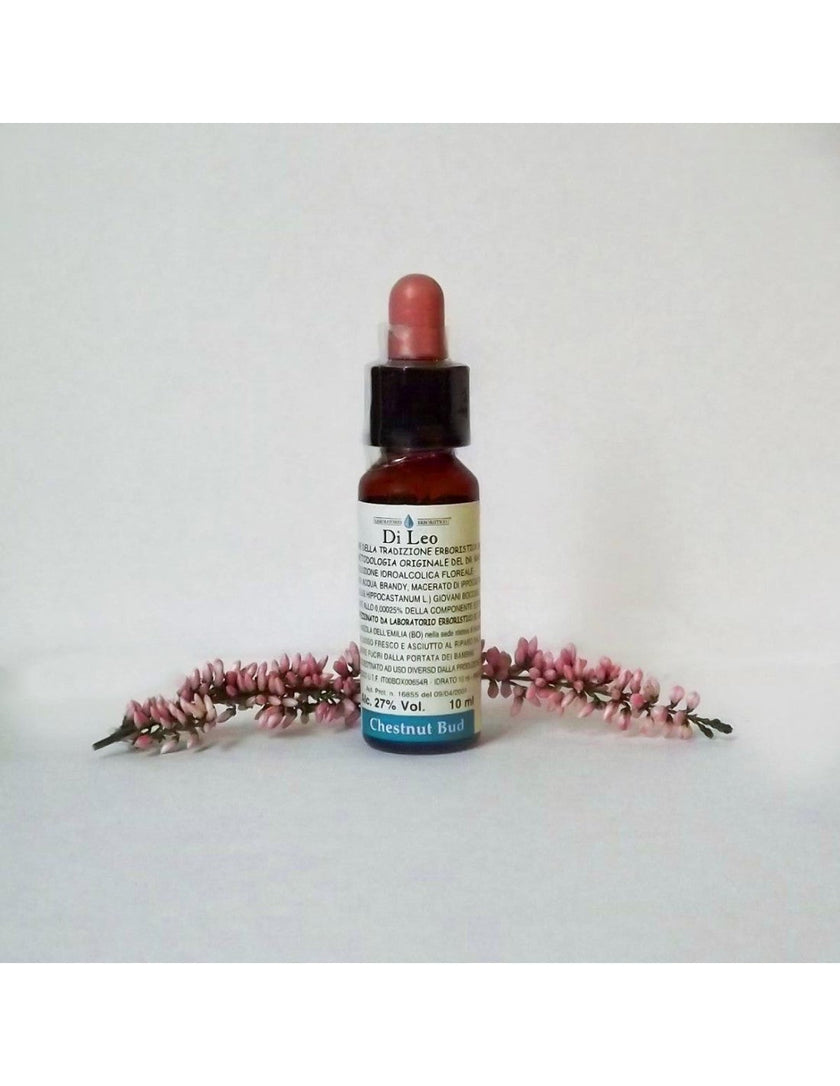 N°7 - Di Leo Fiori di Bach - Chestnut Bud 10ml