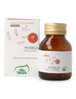 PILOSELLA