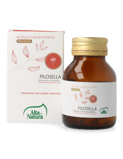 PILOSELLA
