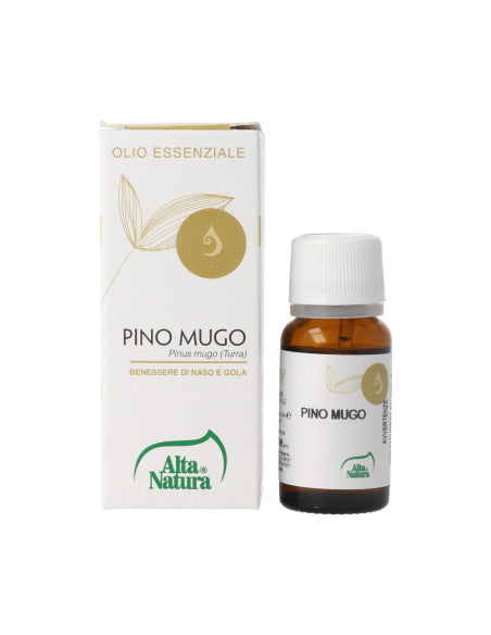 PINO MUGO