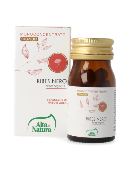 RIBES NERO
