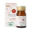 ANANAS 1000