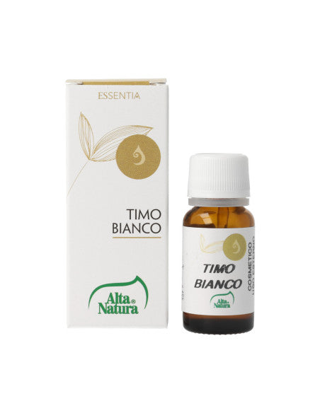 TIMO BIANCO