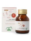 UVA URSINA
