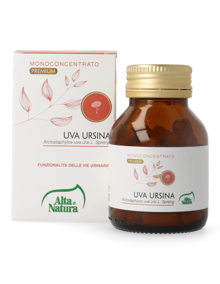 UVA URSINA