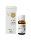 YLANG YLANG